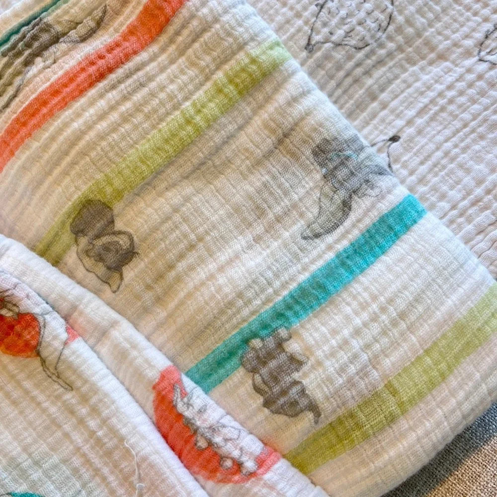 Aden + Anais Cotton Muslin Swaddle Blanket Bundle 5pk Disney Dumbo Hedgehog